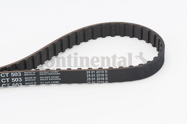 Timing Belt